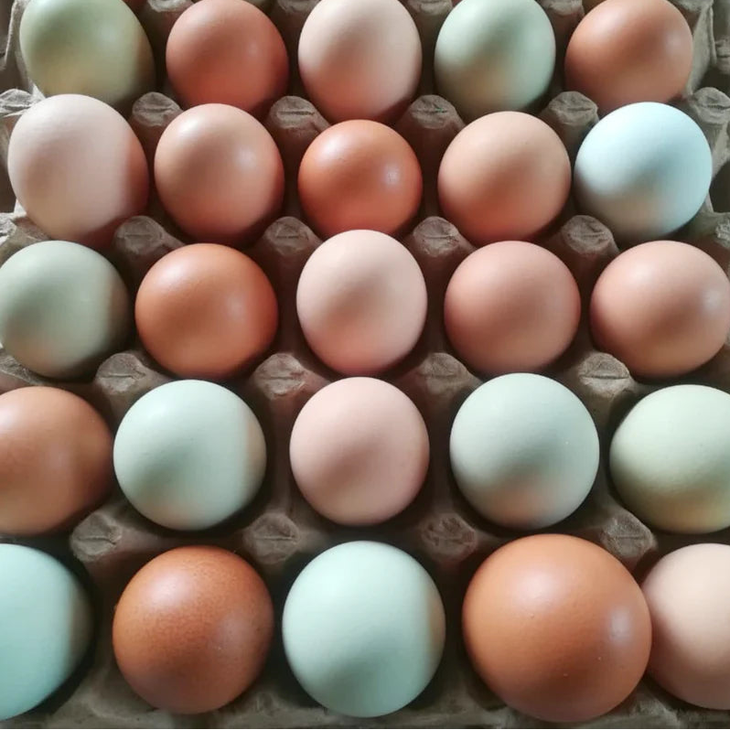Huevos Criollos