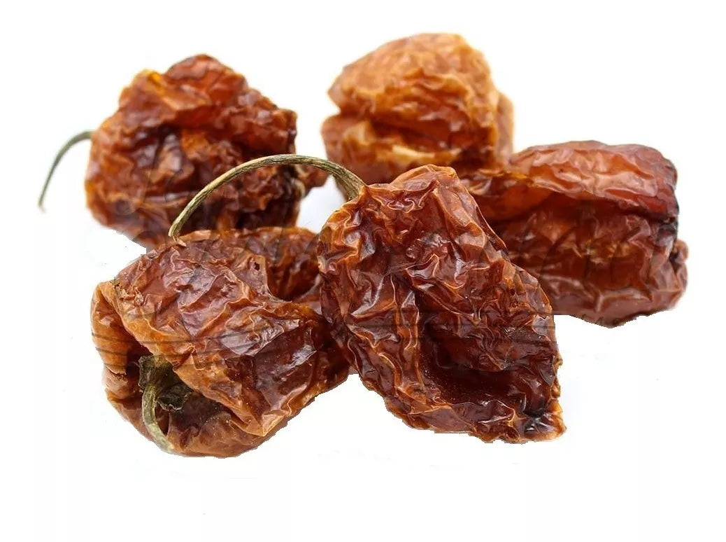 Chile Habanero x Gramo