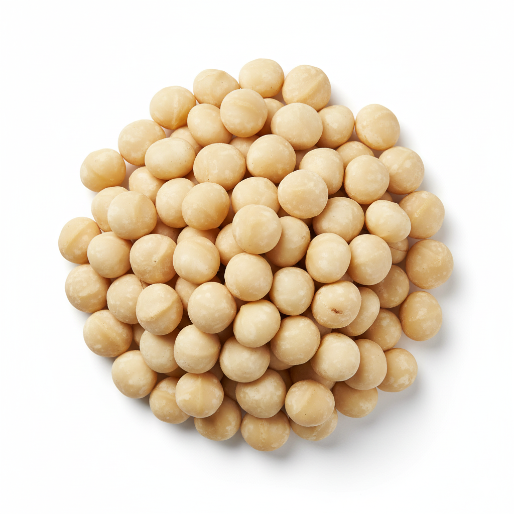 Macadamia